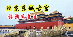 馒头穴性交在线中国北京-东城古宫旅游风景区